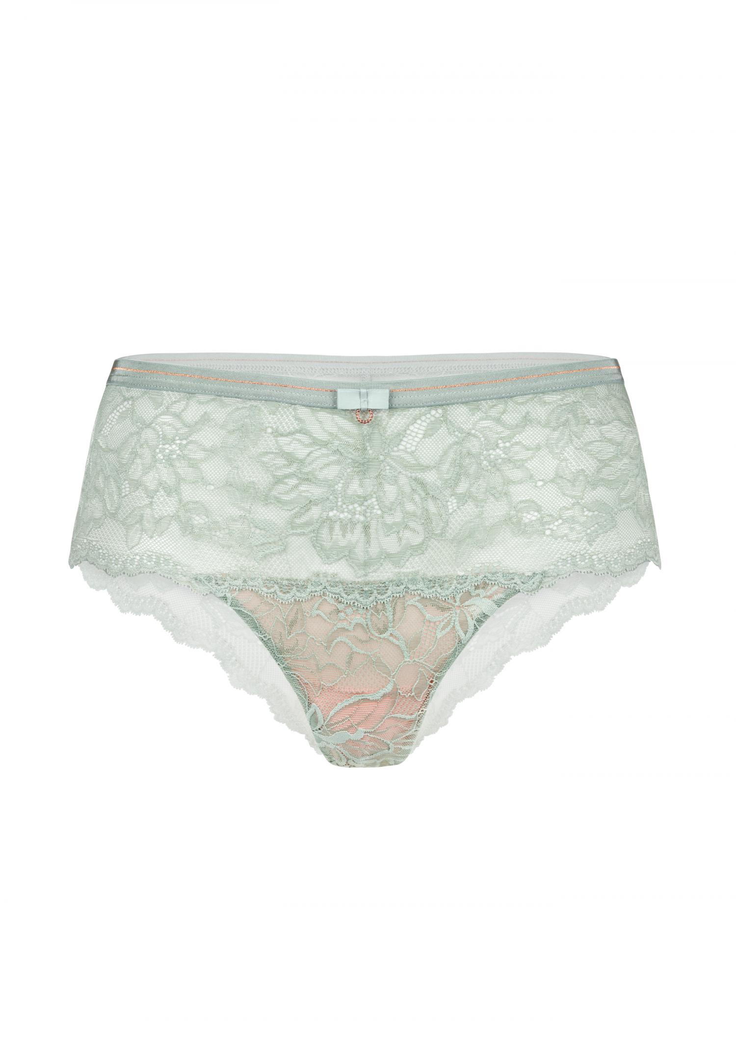 Lace hipster brief