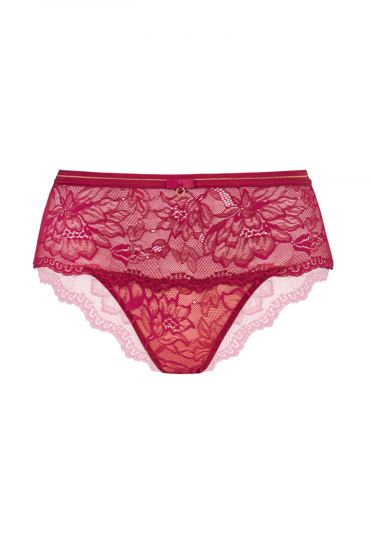 Lace hipster brief